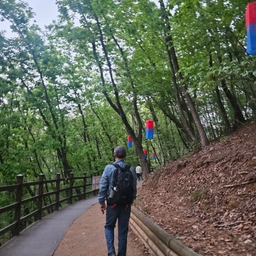 피드에 업로드 된 이미지