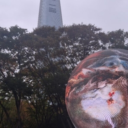 피드에 업로드 된 이미지