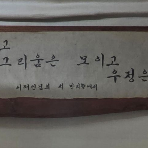 피드 이미지