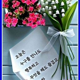 피드에 업로드 된 이미지