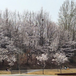 피드에 업로드 된 이미지