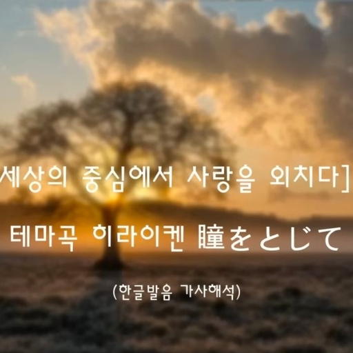 피드 이미지