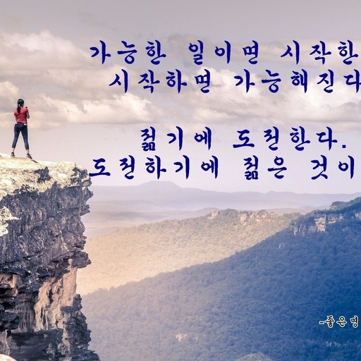 피드 이미지