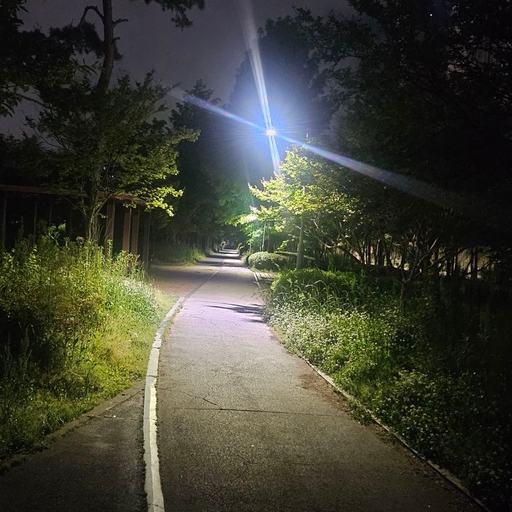 모임 대표 이미지