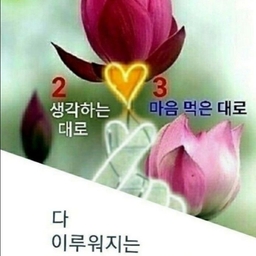 피드에 업로드 된 이미지