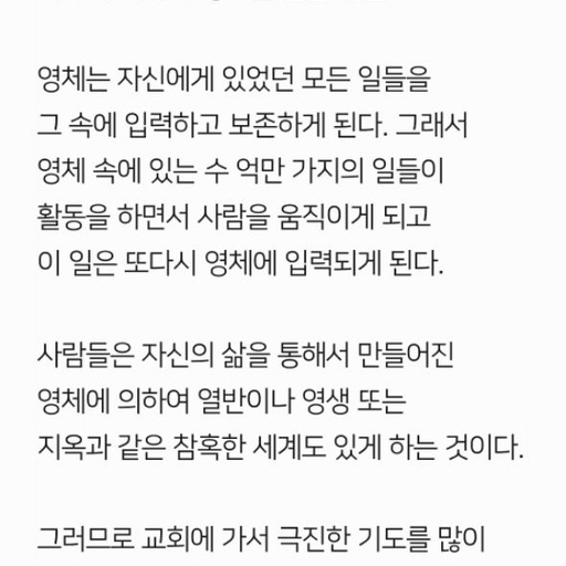 피드 이미지