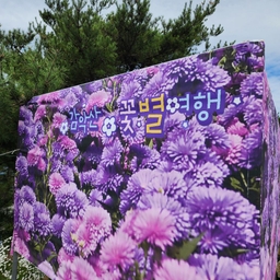 피드에 업로드 된 이미지