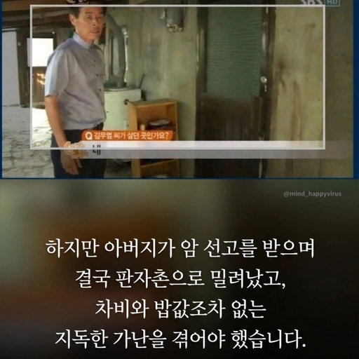 피드 이미지