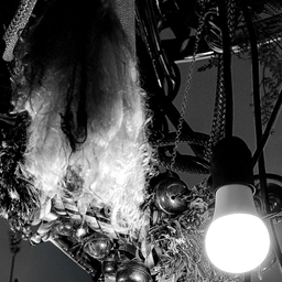 피드에 업로드 된 이미지