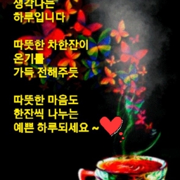 피드에 업로드 된 이미지