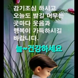 피드에 업로드 된 이미지