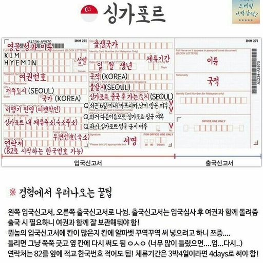 피드 이미지