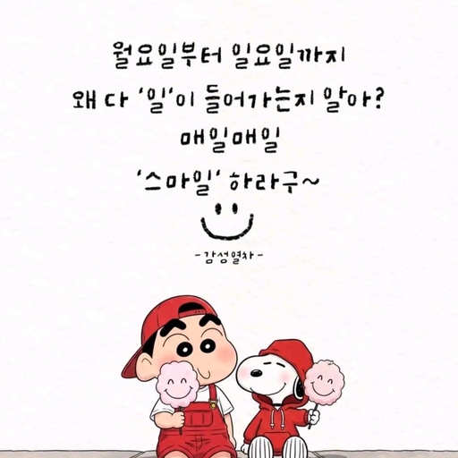 피드 이미지