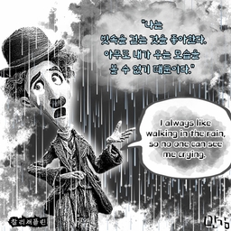 피드에 업로드 된 이미지