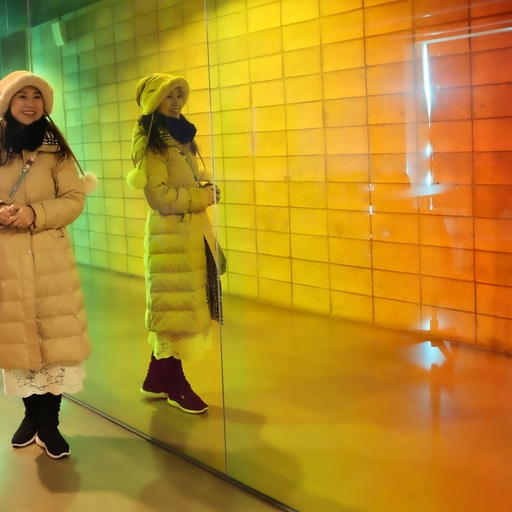 피드 이미지