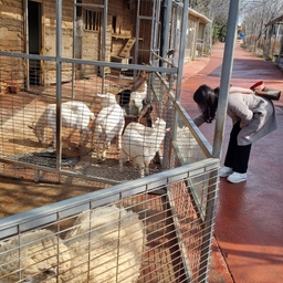 피드에 업로드 된 이미지