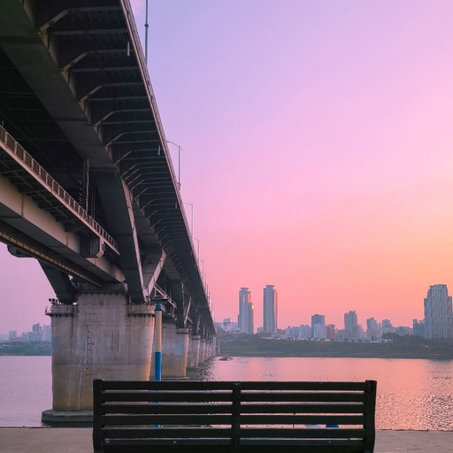 피드 이미지