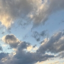 피드 작성자 프로필