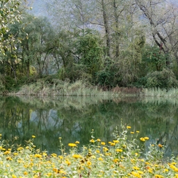 피드에 업로드 된 이미지