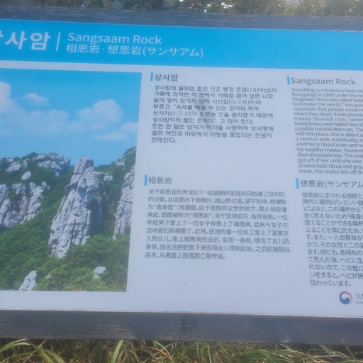 피드 이미지