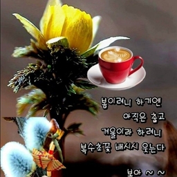 피드에 업로드 된 이미지