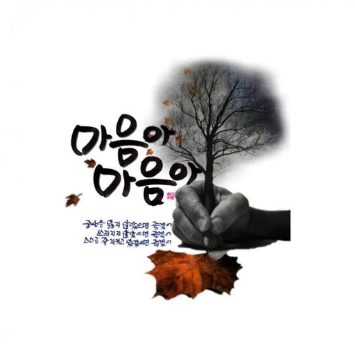 피드 이미지