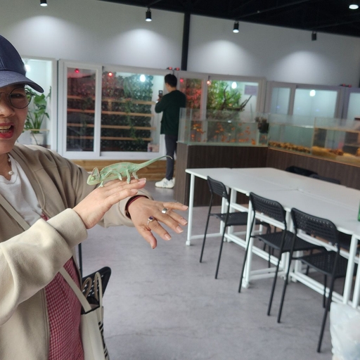 피드 이미지
