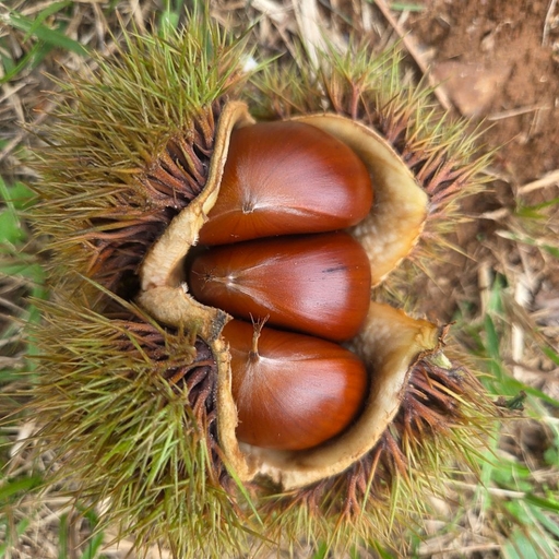 피드 이미지