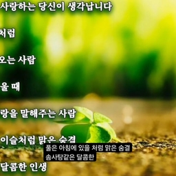 피드에 업로드 된 이미지