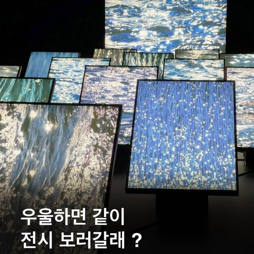 피드 이미지