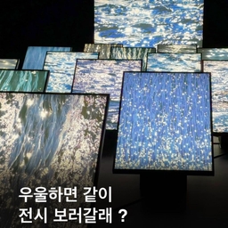 피드에 업로드 된 이미지