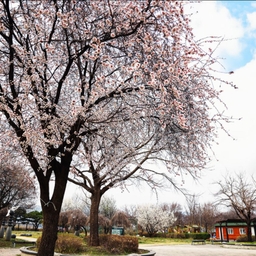 피드에 업로드 된 이미지