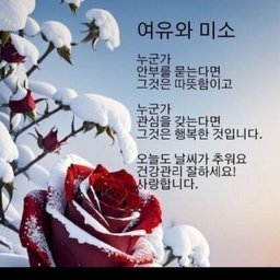 피드에 업로드 된 이미지