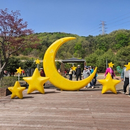 피드에 업로드 된 이미지