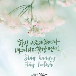 피드에 업로드 된 이미지