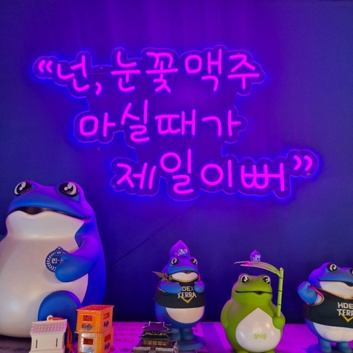 피드 이미지