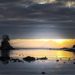 피드에 업로드 된 이미지