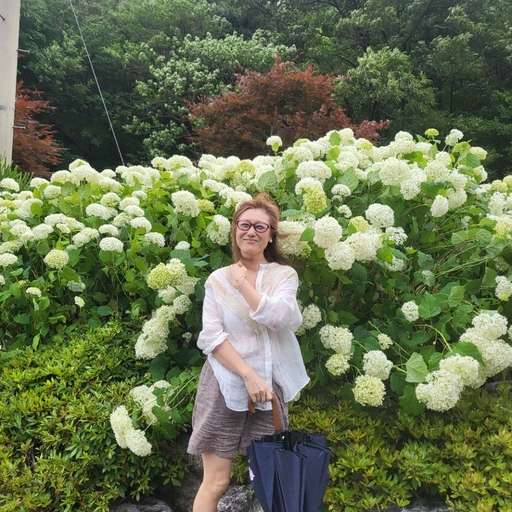 피드 이미지