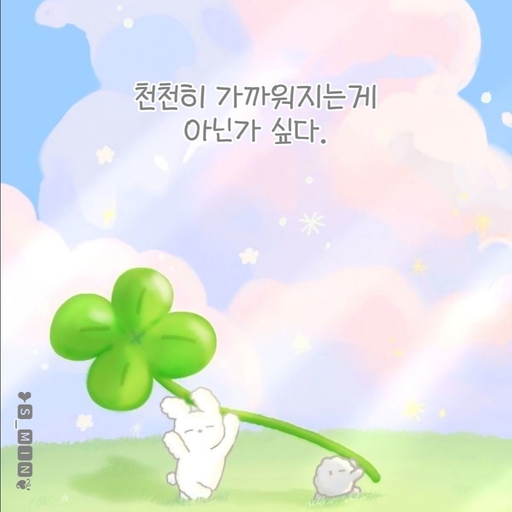 피드 이미지