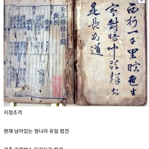 피드 이미지