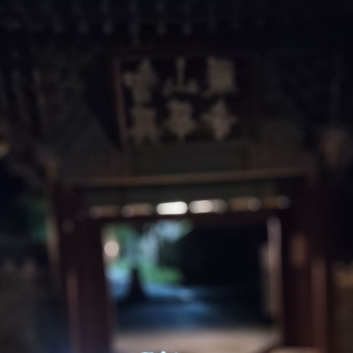 피드 이미지