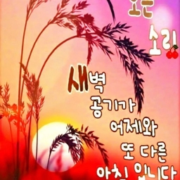 피드에 업로드 된 이미지