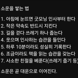 피드에 업로드 된 이미지