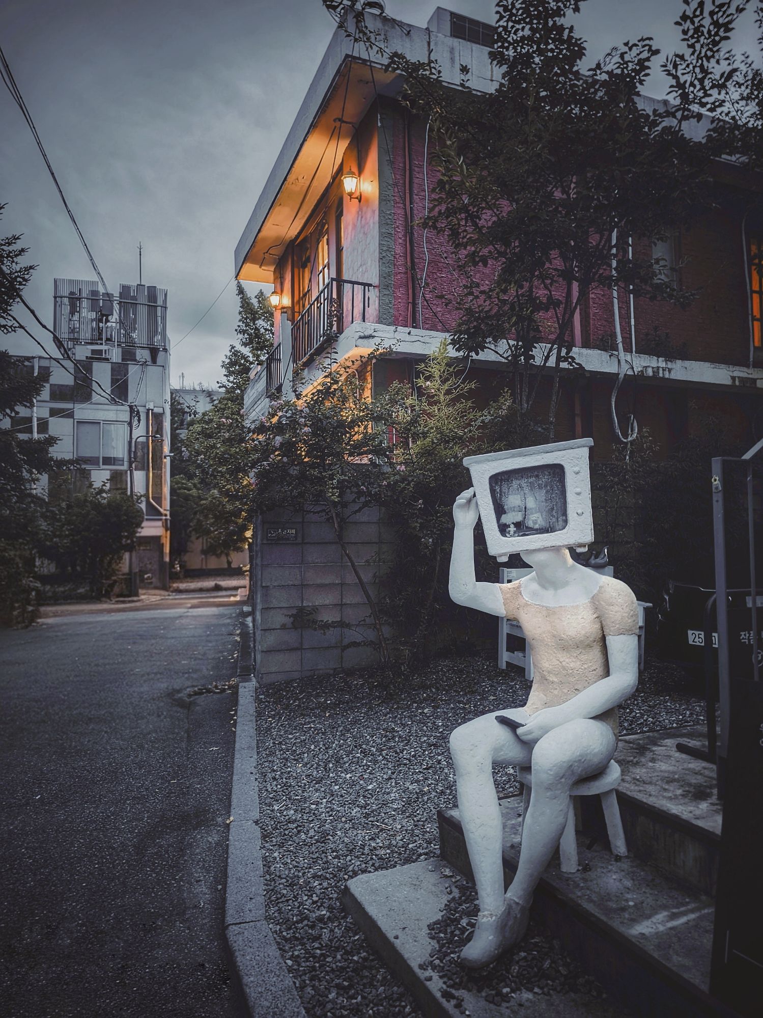 피드 이미지