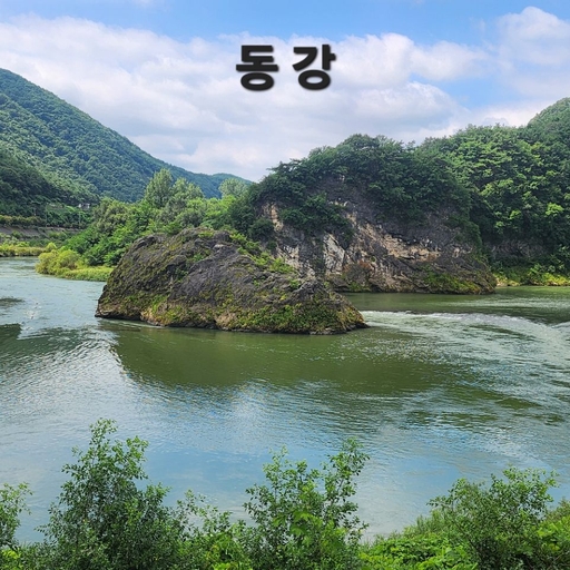 피드 이미지