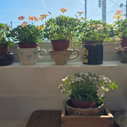 피드에 업로드 된 이미지