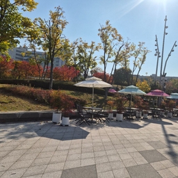 피드에 업로드 된 이미지