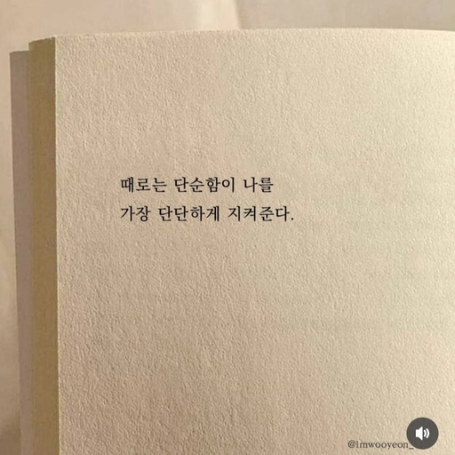 피드 이미지