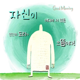 피드에 업로드 된 이미지