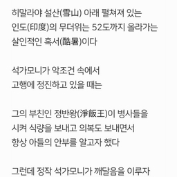 피드에 업로드 된 이미지